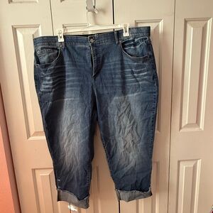 Plus Size Denim Jeans Cropped Terra and Sky